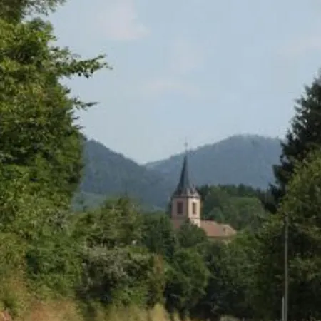 En Rondins Au Coeur De La Nature Avec Confort Moderne Pres De Strasbourg - Fr-1-589-228 * Le Saulcy
