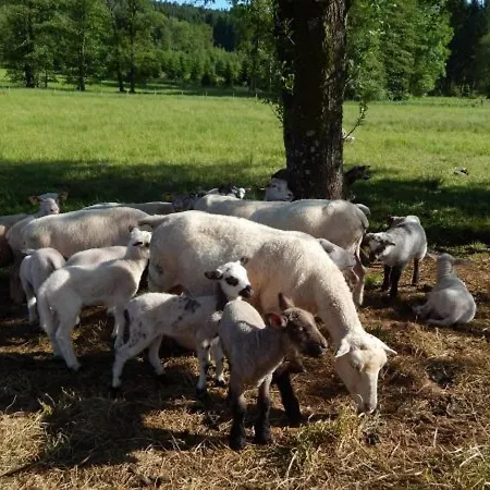 Vakantiehuis En Rondins Au Coeur De La Nature Avec Confort Moderne Pres De Strasbourg - Fr-1-589-228 *