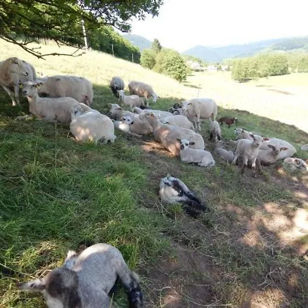Vakantiehuis En Rondins Au Coeur De La Nature Avec Confort Moderne Pres De Strasbourg - Fr-1-589-228