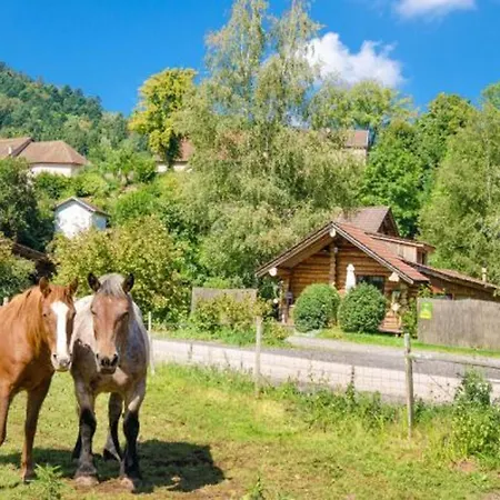 En Rondins Au Coeur De La Nature Avec Confort Moderne Pres De Strasbourg - Fr-1-589-228 Le Saulcy