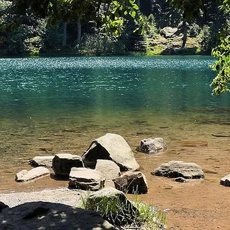 Vakantiehuis En Rondins Au Coeur De La Nature Avec Confort Moderne Pres De Strasbourg - Fr-1-589-228 *