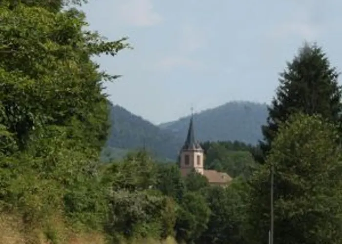 En Rondins Au Coeur De La Nature Avec Confort Moderne Pres De Strasbourg - Fr-1-589-228 * Le Saulcy
