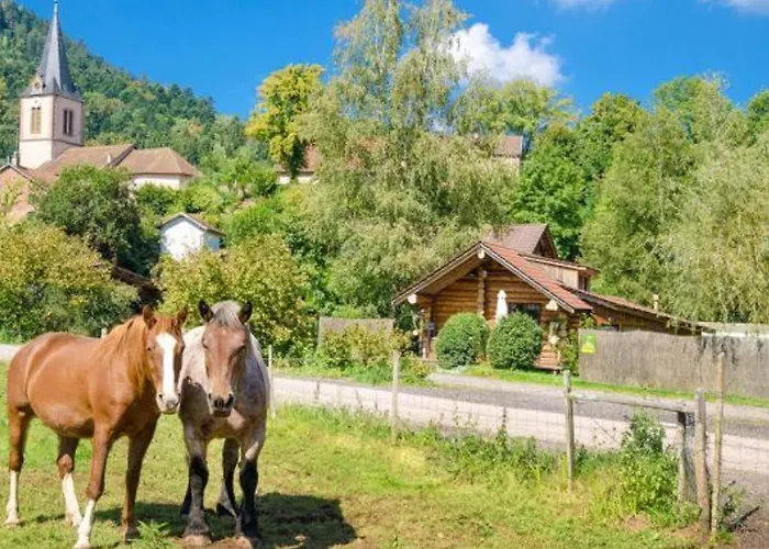 En Rondins Au Coeur De La Nature Avec Confort Moderne Pres De Strasbourg - Fr-1-589-228 Le Saulcy